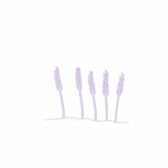 A watercolor rendition of lavender its slender stems and purple flowers casting a calm over white canvas