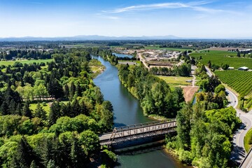 Fototapeta na wymiar Aerial view of McKenzie River surrounded by lush green on a sunny day