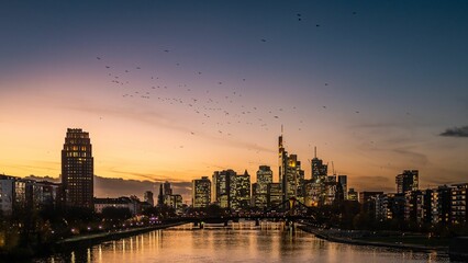 several birds flying over a river next to a city at dusk