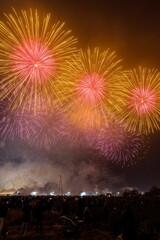 Vibrant display of fireworks illuminates the night sky