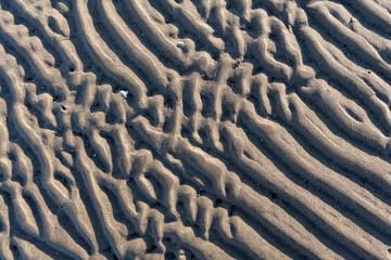 The image is of a sandy beach with a pattern of ripples and grooves