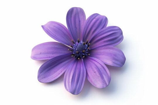 Enchanting purple flower closeup isolated on white background, 3D render