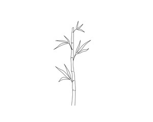 Continuous one line drawing of bamboo branch and leaves. Bamboo branch single outline vector illustration. Editable stroke.