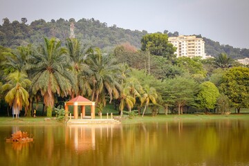Scenic view of a gazebo near a tranquil lake surrounded by lush palm trees