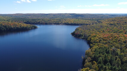 Northern Ontario Canada by drone photography during the fall showing the beautiful fall colors. 