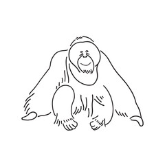 Vector of an orangutan sketch © Wirestock