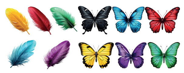 Vibrant Collection of Colorful Feathers and Butterflies, a Symbol of Nature’s Beauty