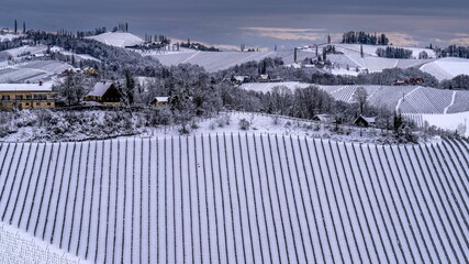 Top view of a vineyard covered and a town in snow in winter.