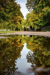Group of people enjoying a leisurely stroll down a picturesque path with a puddle in the foreground