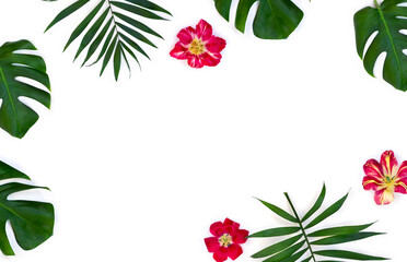 Tropical leaves palm tree and monstera with red yellow flowers on a white background with space for text. Top view, flat lay