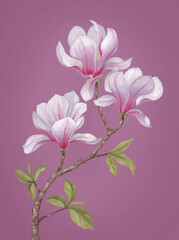 Hand painted acrylic illustration of magnolia flower. Perfect for poster, home textile, packaging design, stationery, wedding invitations and other prints - 767946485