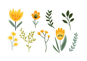 Set of hand drawn yellow flowers, leaves and branches. Vector illustration - 767947205