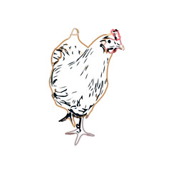 color sketch of a hen with a transparent background