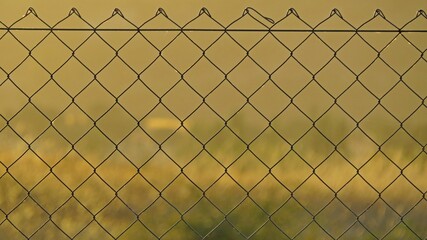 Chain-link fence against a golden blurry backdrop.