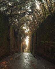 Aged stone-paved road lined with lush green moss leads to a brick archway tunnel entrance