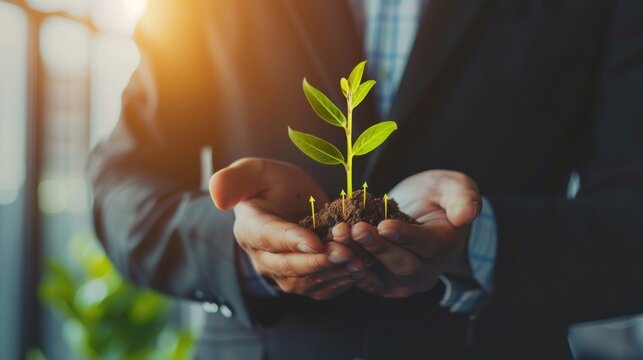 Image of a professional in a suit gently cradling a young plant with soil, representing concepts like growth and care in business