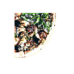 Color sketch of pizza with transparent background