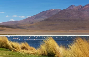 Rolgordijnen Lake in Bolivia © Galyna Andrushko
