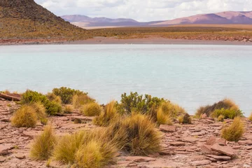Gordijnen Lake in Bolivia © Galyna Andrushko