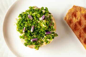 Vegetarian appetizer with cream cheese, herbs, lettuce leaves, shallots and chives.
