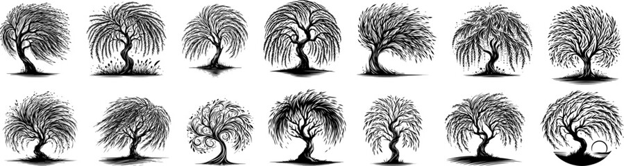 eeping willow trees decorative graphic in black vector - obrazy, fototapety, plakaty