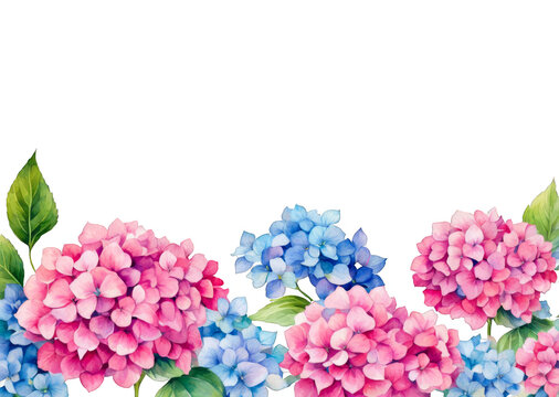 Hydrangeas flowers border, watercolor illustration, flower meadow, pink blue colored, leaves, overlay element for editing, wedding invitations, greetings, birthday, thankyou cards, cutout on white 