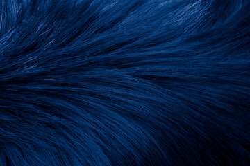 dog hair, blue background or texture