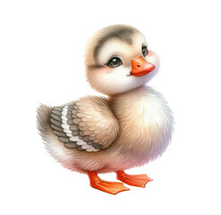 cute goose duckling, watercolor illustration on white background