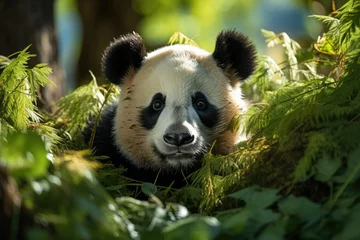Raamstickers Magazine Cover Panda in the bamboo forest., generative IA © JONATAS