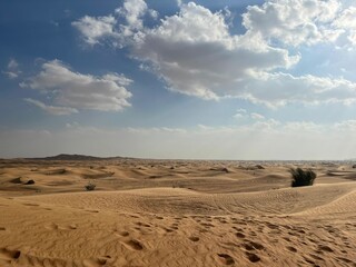 sand dunes in the desert