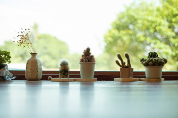 A row of potted cacti sit on a wooden table by a window. The plants are arranged in a neat row,...
