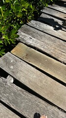 wooden bench in the park