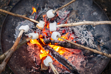 Roast marshmallows on a fireplace with orange flames outside in nature.
