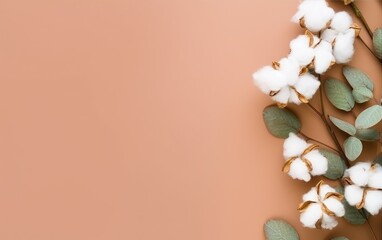 Top view of a colored table with a flat lay composition of dried white fluffy cotton flower