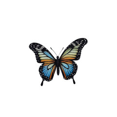 Fototapeta premium A butterfly with wings composed of blue, orange, and yellow.