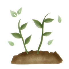 plant growing from soil