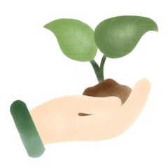 hand holding a plant
