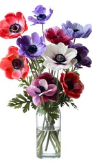 Colorful anemones Bouquet in Glass Vase