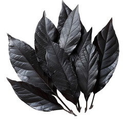 A bunch of black leaves are arranged in a circle.