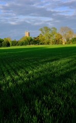 field and sky
