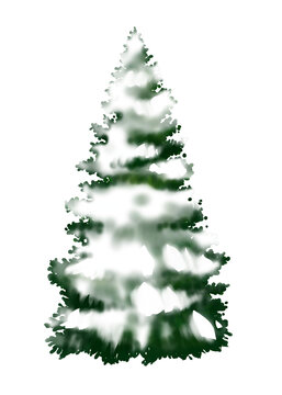 Illustration of snow covered spruce tree isolated 