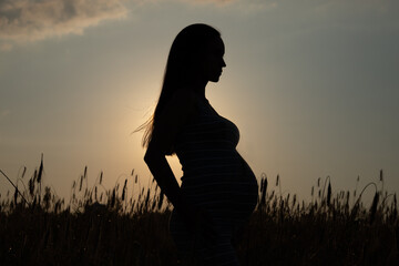 Silhouette of a pregnant woman against the backdrop of a sunset and a field with ripening wheat....