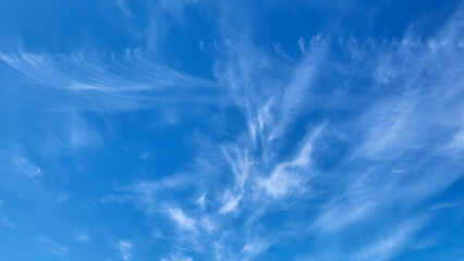 Beautiful blue sky and feathery white clouds nice bright day - obrazy, fototapety, plakaty