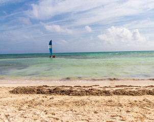 Obraz premium Beautiful seascape. Sail at the horizon. Tropical Island. Nature