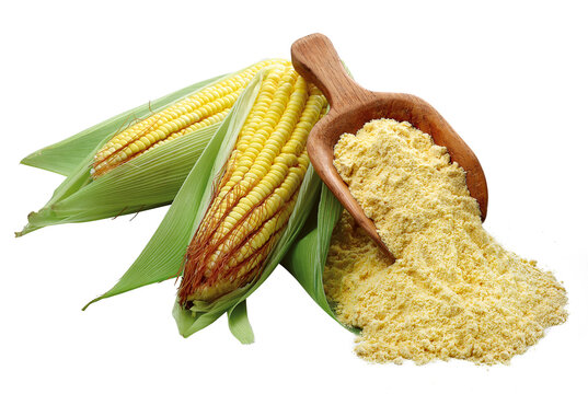 colher de madeira com farinha de milho acompanhado de espiga de milho descascada isolado em fundo transparente