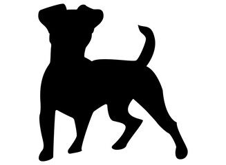 Icon of a Jack Russell dog, on a white background