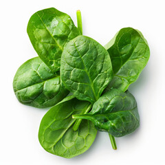 spinach, vegetable, spinach, food, leaf, green, fresh, salad, lettuce, healthy, leaves, isolated, organic, raw, diet, cabbage, vegetarian, white, plant, ingredient, nutrition, agriculture, vegetables,