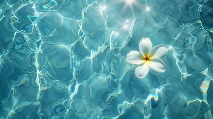 Keuken spatwand met foto 輝く海の水面へ浮く一つのプルメリア © あゆみ 松倉