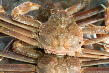 View of the steamed crabs