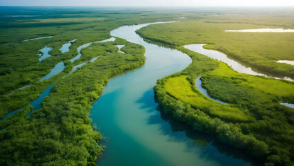 Photo real for Aerial view of a winding river through lush wetlands in Summer Season theme ,Full depth of field, clean bright tone, high quality ,include copy space, No noise, creative idea